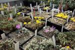 garten.ch