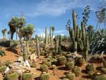 Gartenreise Mallorca Veronika Walz