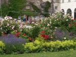 Stiftsgarten Altenburg