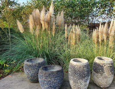 Foto: elegrass