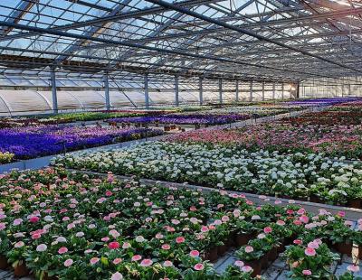 Bild: JardinSuisse