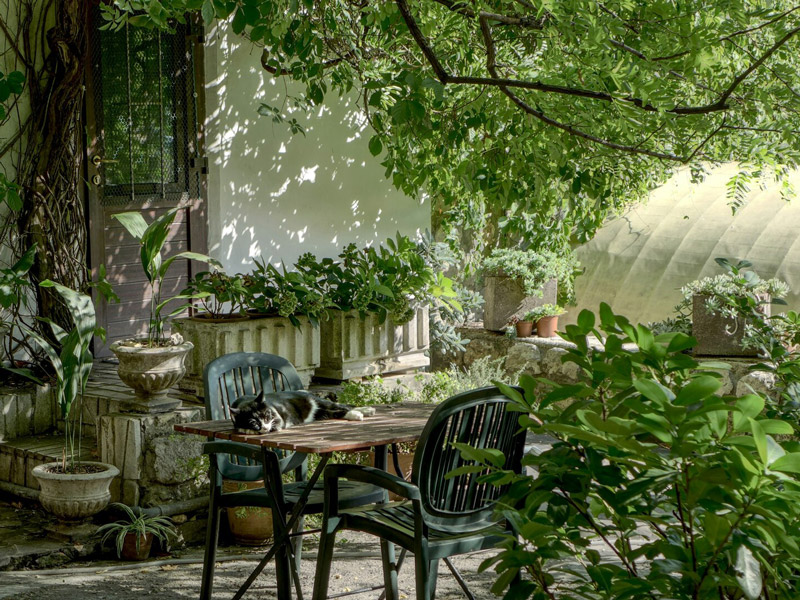  Ein schöner Garten muss nicht teuer sein Foto von Robin Wersich auf Unsplash
