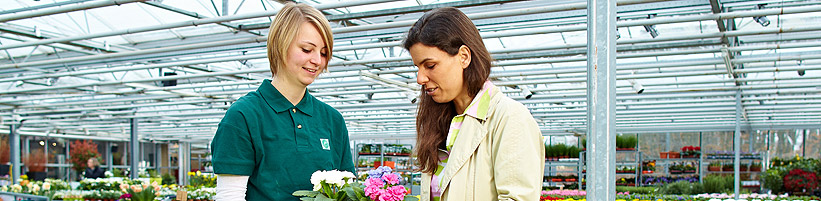 Bild GMH: Primeln und andere tolle Frühlingsblüher gibt es jetzt im gärtnerischen Fachhandel in modischen Trendfarben. Ob knallig oder bunt: Hier findet jeder seine Lieblingsblumen für die Saison!