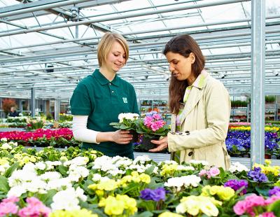 Bild GMH: Primeln und andere tolle Frühlingsblüher gibt es jetzt im gärtnerischen Fachhandel in modischen Trendfarben. Ob knallig oder bunt: Hier findet jeder seine Lieblingsblumen für die Saison!