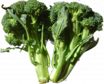 Schön und stark mit Broccoli? Wie immer mehr Nutzpflanzen patentiert werden