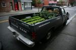 Truck-Farm: Gemüsegarten, Kunst- und Bildungsprojekt