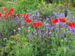 Ausschnitt aus Ernst Pagels Garten