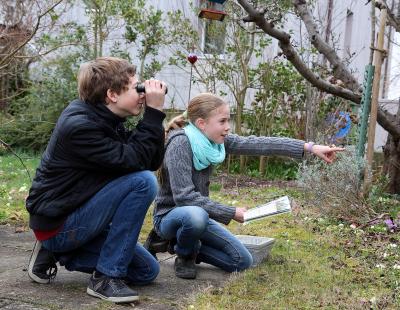 Foto: Daniela Pauli/BirdLife Schweiz