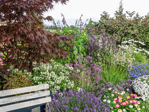 Bild: Picturegarden Rohner - Wertvolle «Bienenpflanzen» haben auf jedem Balkon Platz.   [weissblühend vlnr: Fächerblume, Präriekerze, Schmuckkörbchen, Lobelie; violett-blaublühend vlnr: Lavendel, Verbene, Salbei, Strauchbasilikum, Katzenminze und Lobelie]