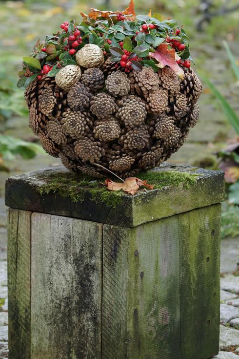 Bild Picturegarden Rohner: Die niederliegende Scheinbeere (Gaultheria) ist kurzwüchsig und kompakt, weshalb sie sich für kugelige Gestaltungsformen besonders anbietet . Trotz sehr dezenter Farbe wird dieses Bijou die Blicke auf sich ziehen.