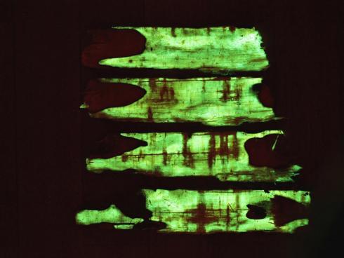 Grünes Licht: Der Hallimasch-Pilz durchdringt Holz und bringt es durch Biolumineszenz zum Leuchten. Bild: Empa