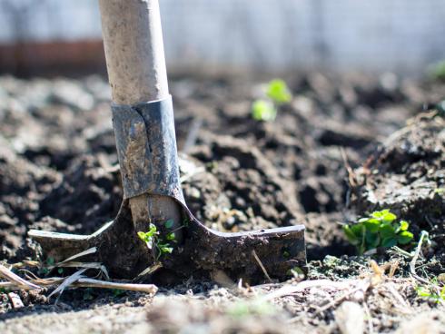 Bild Pexels: Mit einem fitten Körper fällt die Gartenarbeit leichter