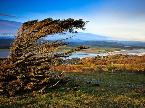 Arnside and Silverdale AONB Copyright Arnside and Silverdale AONB