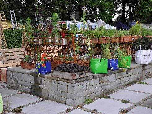 Bild garten.ch: Der Balkon als Experimentierfeld mitten im traditionellen Beerengarten