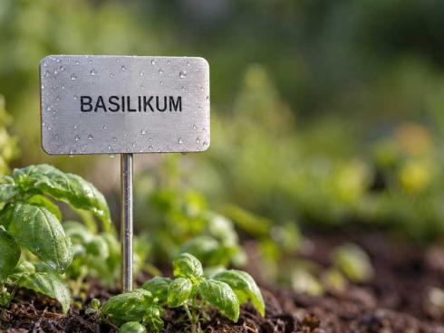 Bild: Gartenschilder im Kräutergarten.