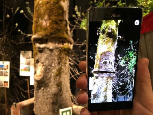 Bild garten.ch: Ein Baum bekommt Augen..