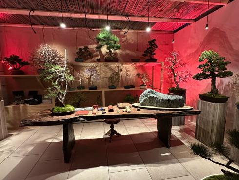 Bild garten.ch: Der Mastergarten des Gartencenter Hofmann erzählt die Geschichte eines Bonsai-Meisters.