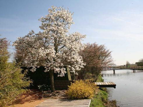 Foto: Appeltern. - Die &quot;Gärten von Appeltern&quot; liegen in einer idyllischen Gegend in der Nähe von Nimwegen.