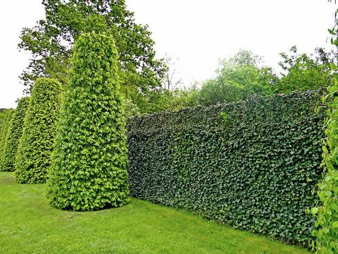 Foto: HELIX. - Die Hecke am laufenden Meter besteht aus einzelnen Elementen und kann daher beliebig verlängert werden. Somit fügt sie sich sowohl in kleine, als auch in grosse Grundstücke ein.