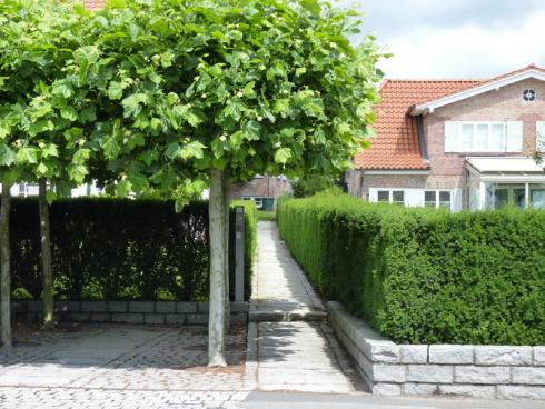 Foto: BGL. - Die Idee einer grünen, lebendigen Grenze liegt lange zurück. Mittlerweile sind Hecken zu festen, gestalterischen Elementen für das eigene Grün geworden, mit denen das Grundstück einen schönen Rahmen erhält.