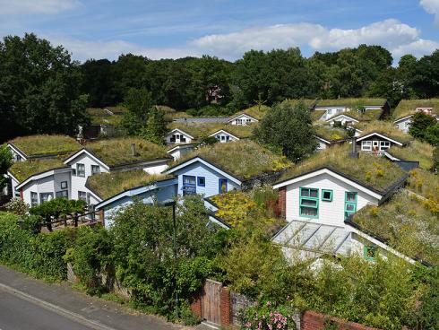 Foto: GPP/BuGG. - Begrünte Dächer sehen schön aus, speichern und verdunsten viel Wasser und sorgen damit für ein angenehmeres Stadtklima.