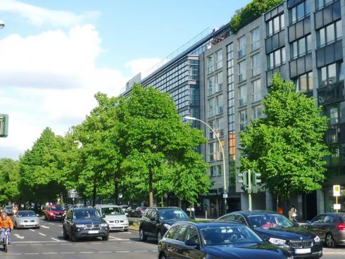 Foto BGL:  Gerade für Strassenbäume bedeutet das städtische Umfeld Stress: Es ist heiss, ihnen steht wenig Platz zur Verfügung, die Luft ist trocken, staubig und mit Abgasen belastet, der Boden von Autoreifen und Bodenarbeiten verdichtet _.