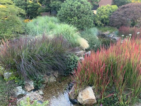 Bild elegrass: Wer sich mit Gräsern befasst, findet ein groﬂes Sortiment mit interessanten Formen und Farben. Hier ergeben das Bartgras (Andropogon) 'Red October', das Japanische Blutgras (Imperata) 'Red Baron' (Japanisches Blutgras) sowie das Kleine Präriegras (Schizachyrium) 'Standing Ovation' ein eindrucksvolles Gartenbild.