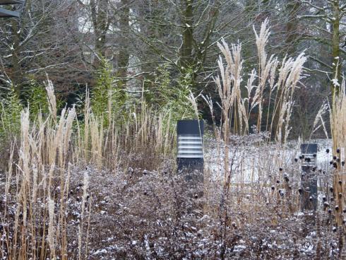 Bild BGL: Auch bei Stauden sollte der Schnitt ins nächste Frühjahr verschoben werden, denn die vertrockneten Samenstände sind für die hier überwinternden Vögel eine wichtige Nahrungsquelle, während die trockenen Stängel der Gräser und Stauden gute Winterquartiere für Nützlinge sind.