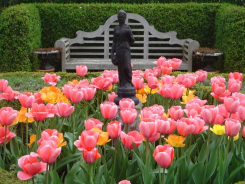 Bild BGL: Ein Beet aus farbenfrohen Tulpen leuchtet vor einer immergrünen Hecken noch intensiver - selbst die eigentlich auffällige, dunkle Statue rückt so in den Hintergrund.