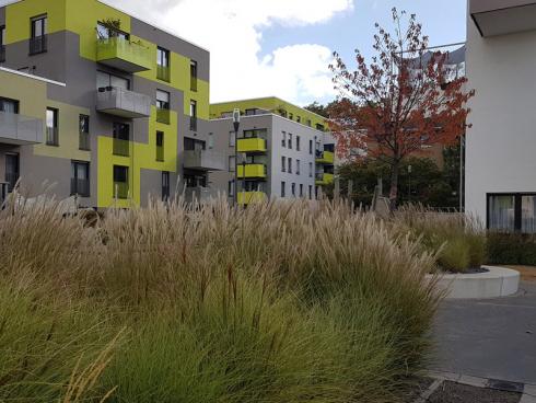 Bild elegrass: Die Freiflächen in Neubaugebieten müssen viele Funktionen erfüllen: Hier brechen sie auf attraktive Art und Weise die harten Linien der Architektur. Je nach Licht, Wetter und Wind verändert sich das Erscheinungsbild.