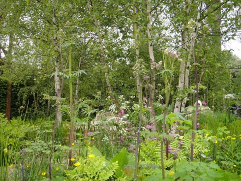 Bild BGL: Das Bewusstsein der Menschen für eine naturnahe Gartengestaltung wächst. Darauf reagieren Landschaftsgärtner mit einer höheren Vielfalt in der Gestaltung und vor allem in der Pflanzenauswahl.