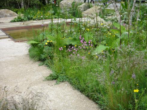 Bild BGL: Wegen seiner ökologischen Vorteile werden häufig zumindest Teile des Grundstücks zu einer Wildblumenwiese umgestaltet. Für Naturgärten gehört sie unbedingt dazu, denn sie erweckt den Garten zum Leben. 