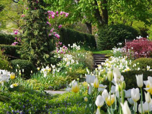 Foto: Van Groeningen/BGL. - Van Groeningen: &quot;Deutsche GärtnerInnen müssen noch lernen anderen Gartenliebhabern ihre Pforten zu öffnen. Bei jedem Gartenbesuch lernt man etwas Neues. Die Begegnungen mit anderen GartenliebhaberInnen, ob Profis oder Amateure, sind immer eine Bereicherung.&quot;