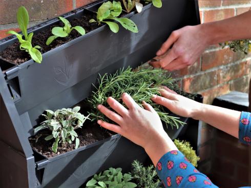 Bild Helix: Ein besonderes Substrat wird für die PlantBox nicht benötigt. Das Stapelsystem wird ganz einfach mit handelsüblicher, strukturstabiler Kübelpflanzenende bestückt. Anschlieﬂend kann es mit Allem bepflanzt werden, was das Gärtnerherz begehrt. 