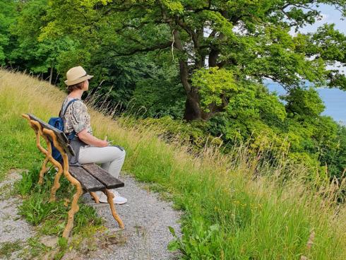 Bild GPP: Vom Arenenberger Park hat man eine herrliche Aussicht auf den Bodensee. 