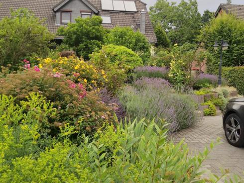 Bild BGL: Es ist wichtig, dass in der Gartengestaltung hinter und vor dem Haus möglichst statt versiegelter Oberflächen standortgerechte Beete geplant werden.