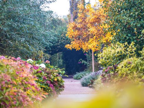 Bild Appeltern: Die Palette an Farben im Herbstgarten steht der Partitur des Sommers in nichts nach.  