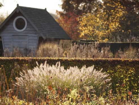 Bild Appeltern: Der herbstliche Garten will nicht nur bewundert, sondern auch auf den Winter vorbereitet werden - doch eine gute Nachricht zu Beginn: Es ist weniger zu tun, als viele meinen!