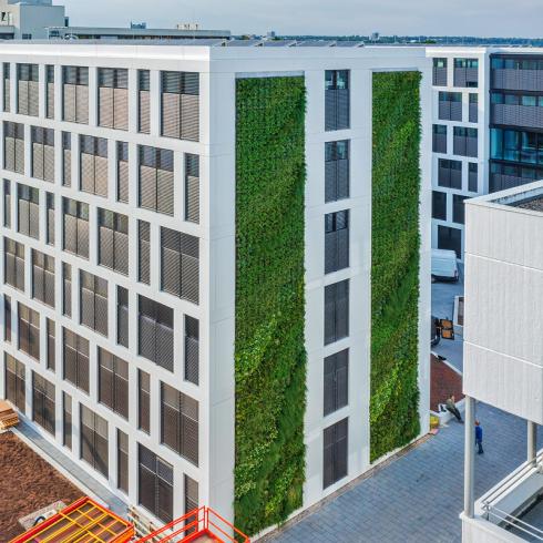 Bild Helix: Beim neuen Innovation Center in Stuttgart wurde ein Teil der Ostfassade begrünt: zwei Streifen mit einer Breite von je 3,60 Metern und einer Höhe von über 20 Metern. 