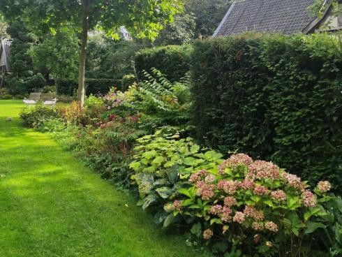 Bild BGL: Mit Hecken und Gehölzen lassen sich auf schöne Weise private Bereiche im Garten schaffen, die nicht direkt einsehbar sind.