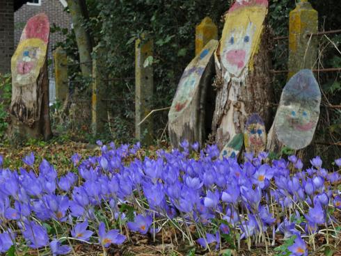 Bild fluwel.de: Auch der Crocus speciosus ist ein wunderschöner Herbstkrokus. Er blüht, anders als der berühmte Crocus sativus, ohne Laub.