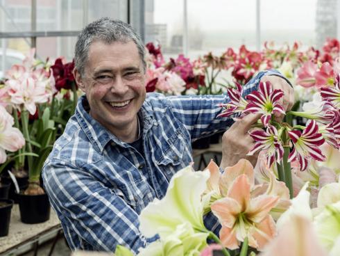 Bild fluwel.de: Blumenzwiebelexperte Carlos van der Veek bietet auf seinem Webshop Fluwel an die 80 verschiedenen Amaryllis an.