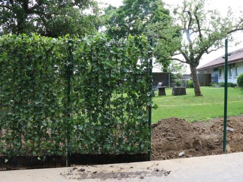 Foto: Helix. - Eine 'Hecke am laufenden Meter' besteht aus einzelnen Modulen, die sich – vergleichbar mit einem Zaun – in beliebiger Länge aneinanderreihen lassen. 