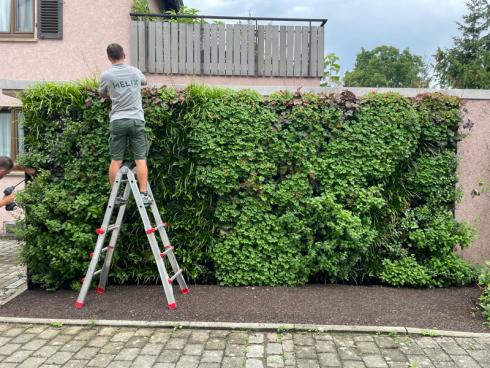 Bild Helix: Ob man die unattraktive Wand einer Garage verschönern möchte, einen asphaltierten Hinterhof in eine Freiluftoase verwandeln will oder sich einfach im Sommer mehr Blumenvielfalt auf dem Balkon wünscht, mit 'Helix PlantBox' können fast überall und innerhalb kürzester Zeit artenreiche, vertikale Gärten an Gebäudefassaden entstehen.