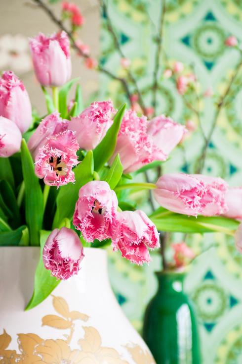 Foto: TPN/ibulb. - Genau wie alle anderen Tulpen sind auch die Crispa im Frühling in ein einer riesigen Farbpalette erhältlich. 