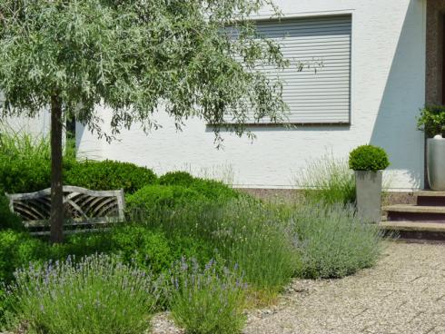 Foto: BGL. - Im Schatten des Hausbaumes, umgeben von duftendem Lavendel lässt sich der eigene Vorgarten wunderbar genießen und ein Plausch mit den Nachbarn führen.