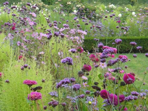 Foto: BGL. - Auch die verschiedenen Wuchsformen und Blütenfarben der Pflanzen machen einen Garten zum Erlebnis. 