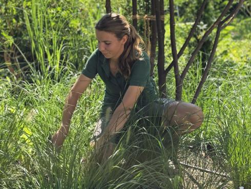 Foto: BGL. - Die Profis kennen je nach Topfgröﬂe und Wuchsstärke den richtigen Pflanzabstand für Bodendecker und Gräser, damit die Flächen möglichst schnell bedeckt sind.