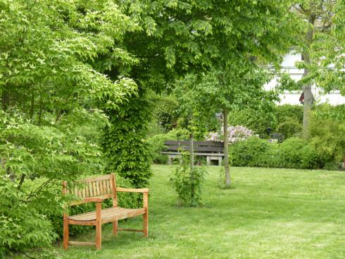 Bild BGL: Ein schöner Rasen entsteht nicht zufällig - er ist das Ergebnis gezielter, saisonaler Pflege vom Frühjahr bis in den Herbst.