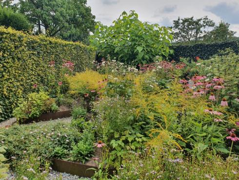 Bild elegrass.: Biostauden machen Freude, den Gärtner*innen, die sie produzieren, und den Hobbygärtner*innen, deren Gartenleben sie bereichern. Mittlerweile gibt es auch im Gartencenter ein breites Sortiment.
